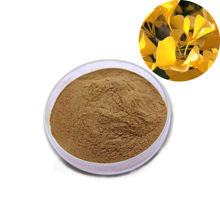 Ginkgo biloba extract