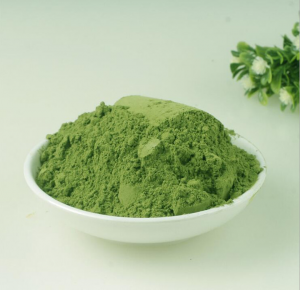Moringa leaf extract powder weight loss supplement Manufacturer