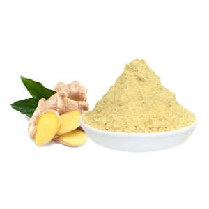 ginger extract powder