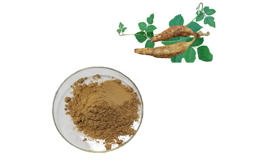 kudzu root extract powder