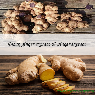 What is the difference between Ginger and Black Ginger