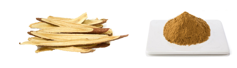 skullcap root extract powder