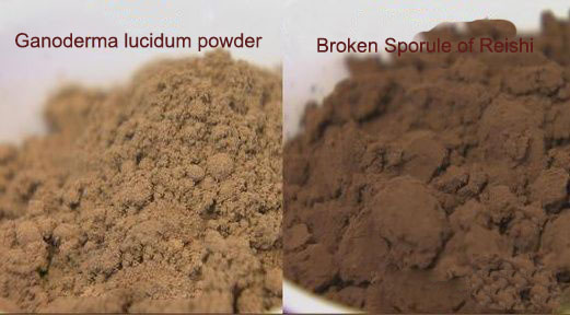 Ganoderma lucidum powder