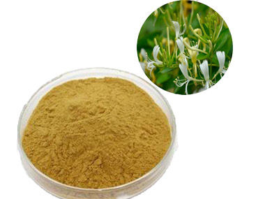 honeysuckle extract