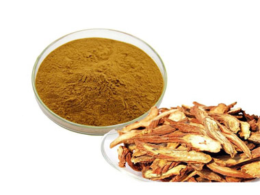  Salvia Miltiorrhizae 