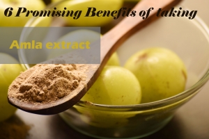 Amla powder