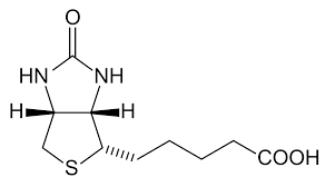 Feed-Grade-D-Biotin-Powder