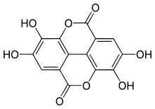 polyphenols