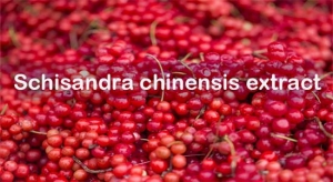 schisandra chinensis extract