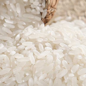 Natural field vegan protein powder white rice protein supplier