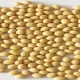 wholesale natural soybean extract isoflavones powder manufacturer
