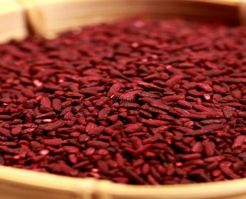 wholesale bulk red yeast rice extract monacolin manufacturer