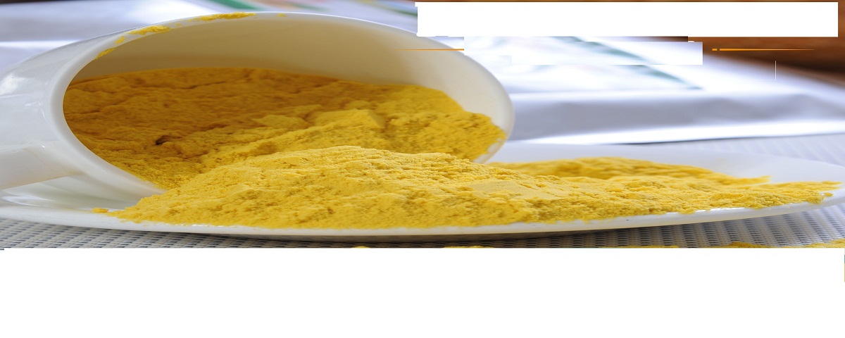 Dried green mango fruit extract bulk raw powder manufacturer Dried green mango fruit extract bulk raw powder manufacturer