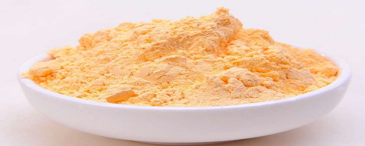 Freeze dried papaya raw enzyme fruit powder for health manufacturer