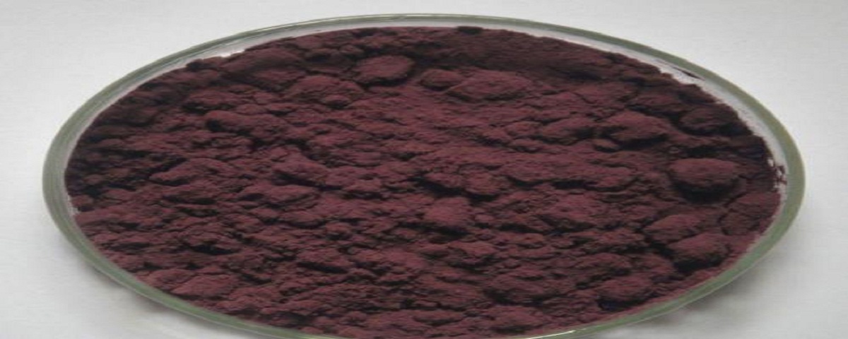 organic traditions acai berry fruit concentrate powder manufacturer
