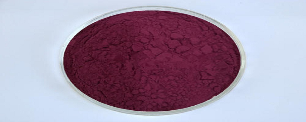 benefit for skin mulberry juice concentration extract powder supplier