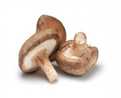 Organic spray dried shiitake mushroom powder bulk Manufacturer