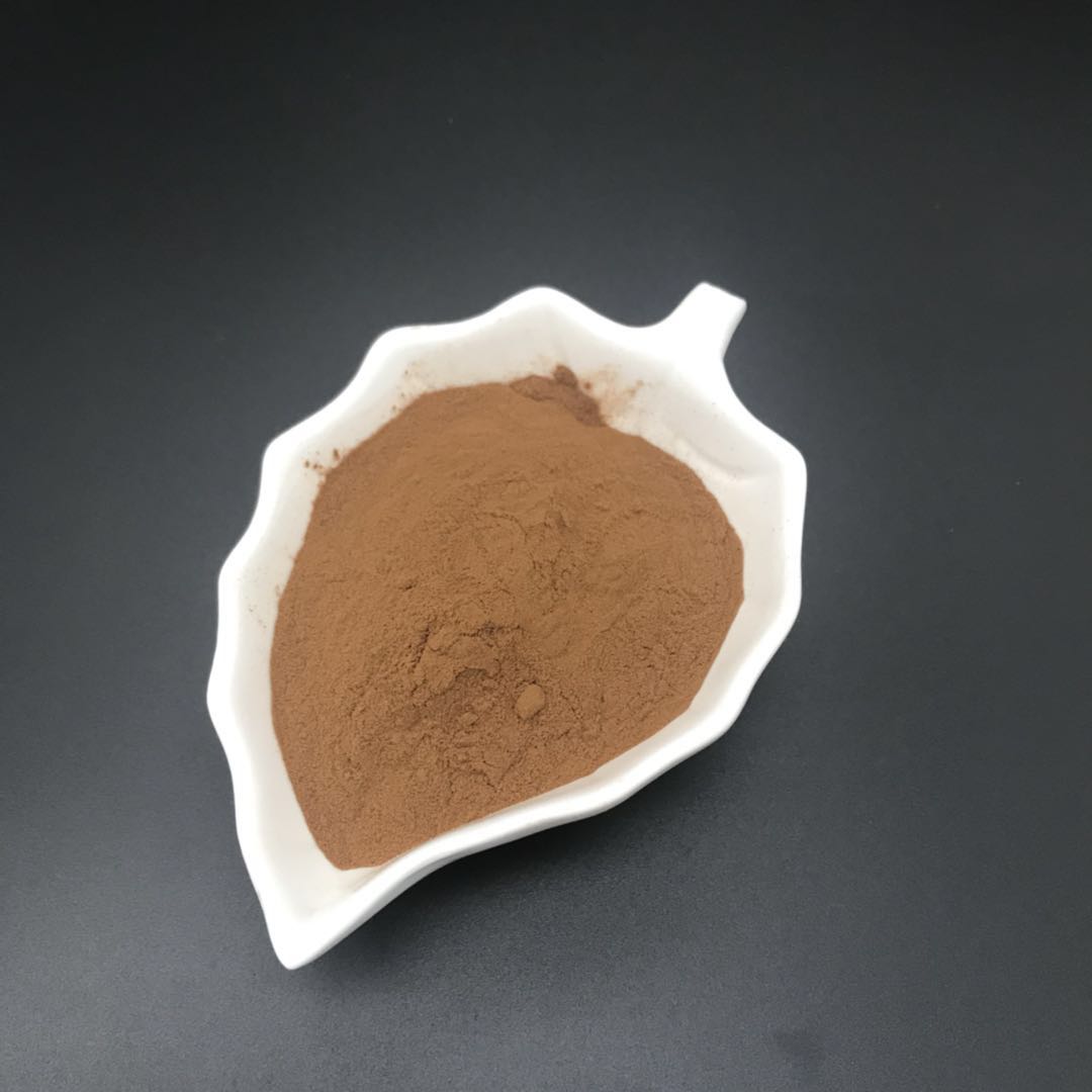 Bulk reishi mushroom extract standardized powder manufacturer