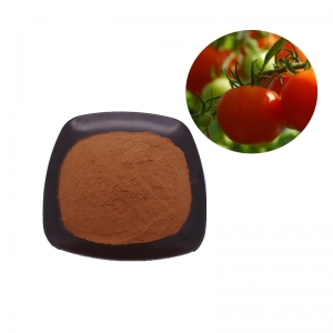 Wholesale tomato fruit extract lycopene for blood pressure supplier