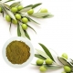 olive leaf extract