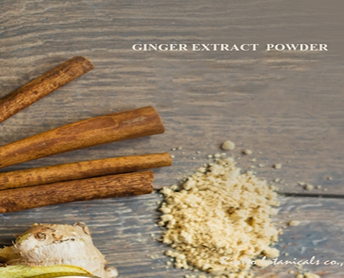 ginger extract