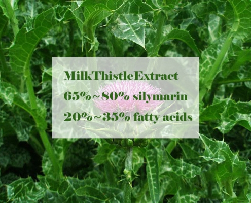 Milk Thistle Extract