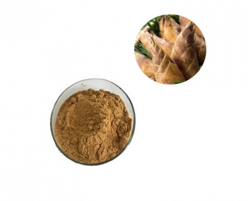 Bulk water soluble bamboo shoot extract polysaccharide manufacturer