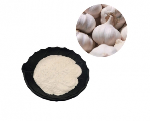 ISO certification garlic extract allicin polyphenol powder manufacturer