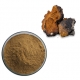 anticancer bulk chaga mushroom extract powder polysaccharide manufacturer