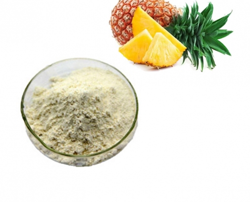 bulk food grade pineapple extract powder bromelain enzymes manufacturer