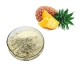 bulk food grade pineapple extract powder bromelain enzymes manufacturer