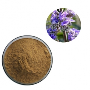 free sample food grade chasteberry extract powder vitexin manufacturer