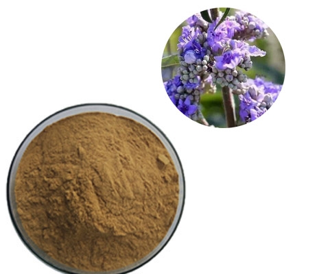 free sample food grade chasteberry extract powder vitexin manufacturer