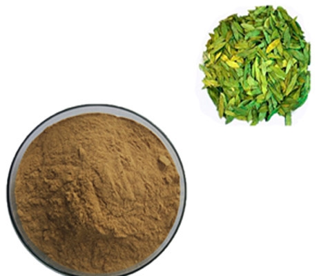 free sample lose weight senna leaf extract powder sennoside supplier