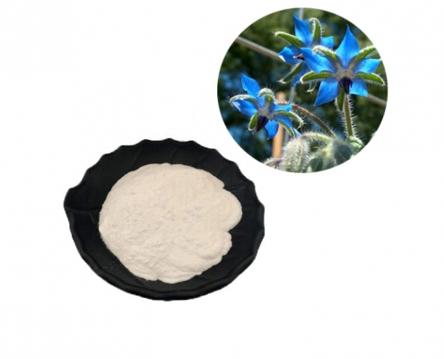 nutrition enhancer borage seed oil powder cas 84012-16-8 manufacturer