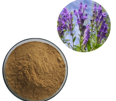 weight loss coleus forskohlii root extract forskolin bulk powder supplier