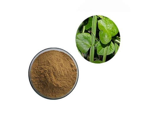 wholesale price bone health supplement cissus quadrangularis leaf extract