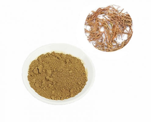 Bulk invigorating stomach chinese gentian root extract powder manufacturer