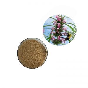 Free Sample leonurus heterophyllus motherwort extract powder manufacturer