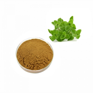 Free sample natural anti-oxidation oregano leaf extract powder manufacturer
