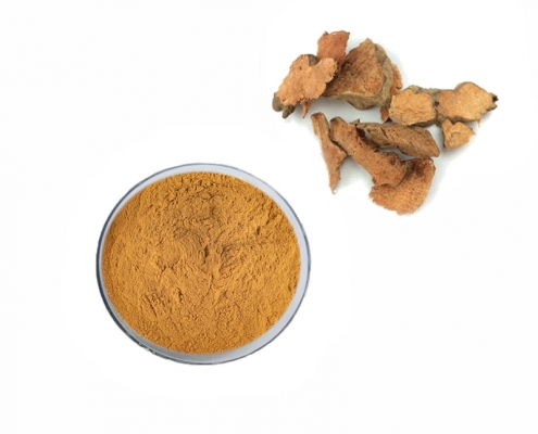 Health supplement 10:1 dried sarsaparilla root extract powder manufacturer