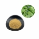 Wholesale bulk natural health benefits guayusa leaf extract powder manufacturer