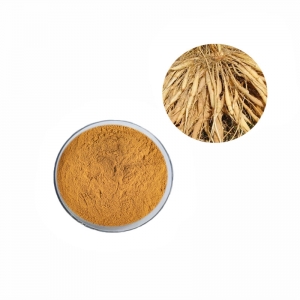 bulk shatavari extract powder asparagus racemosus root extract manufacturer