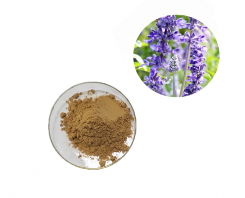cosmetic grade lavandula angustifolia lavender extract powder manufacturer