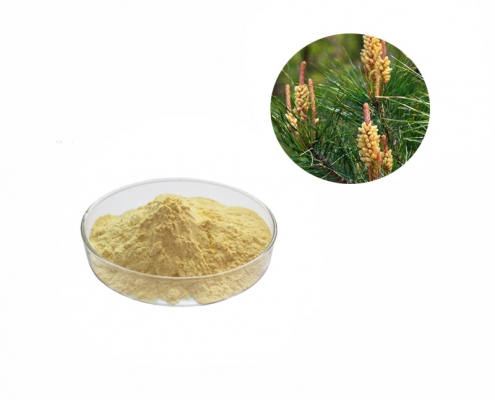 food grade light yellow wall broken pine pollen extract powder manufacturer