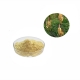 food grade light yellow wall broken pine pollen extract powder manufacturer