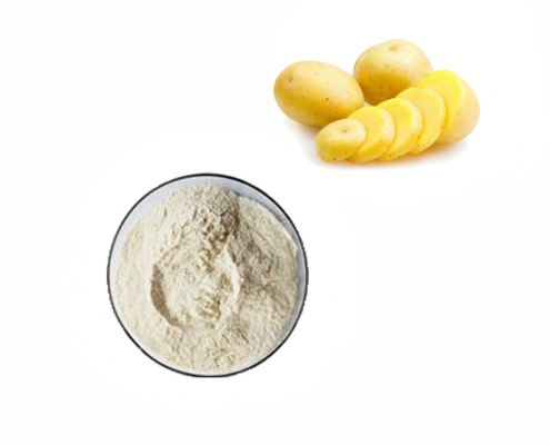 free sample bulk pure natural vegetable potato extract powder manufacturer