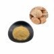 free sample hericium erinaceus lion's mane mushroom extract powder supplier