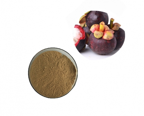 free sample mangosteen fruit extract powder alpha-mangostin manufacturer