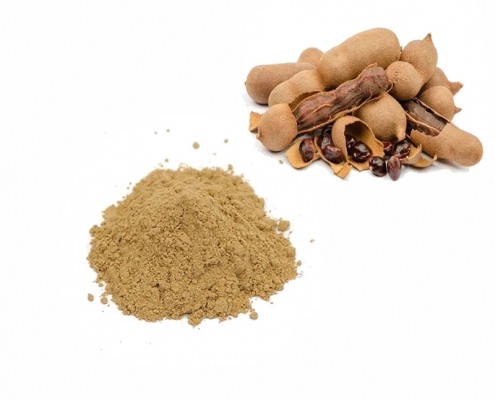 iso certification quality guaranteed tamarind indica fruit extract powder supplier